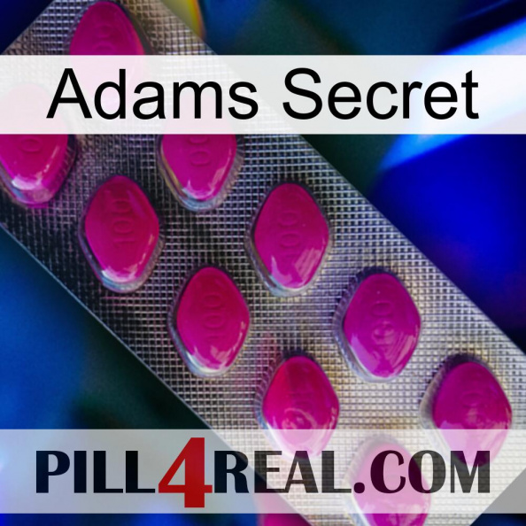 Adams Secret 09.jpg